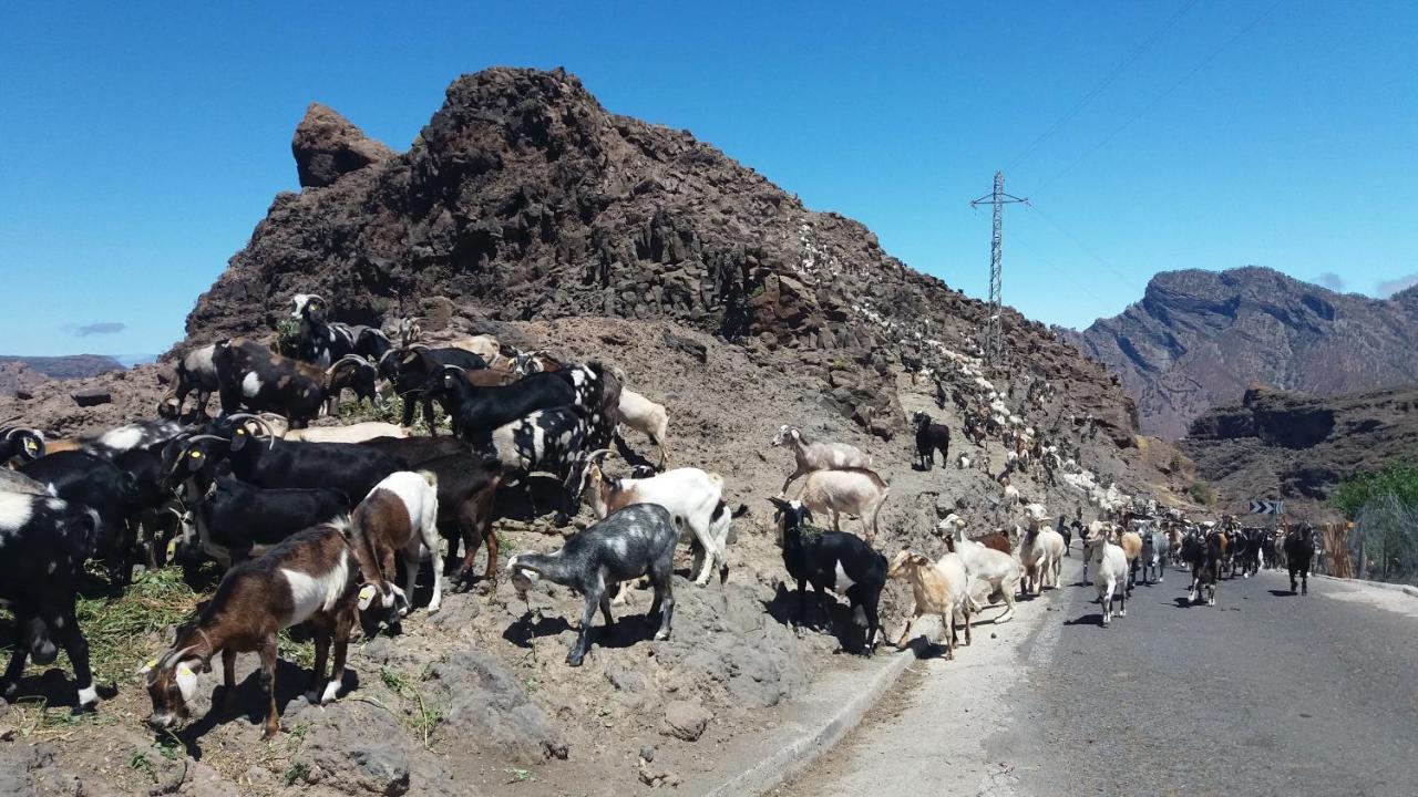 Casa Cueva Manuel Y Maria Villa El Juncal Eksteriør bilde